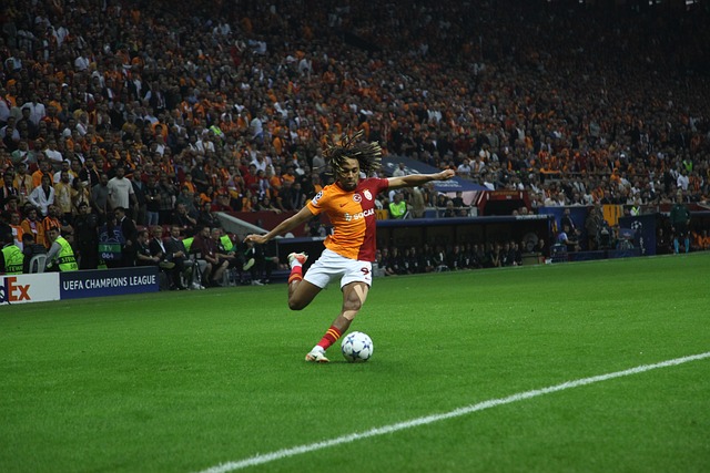 田中碧德自 田中碧德自