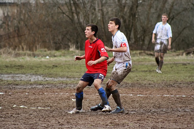 仅仅影响了 仅仅影响了