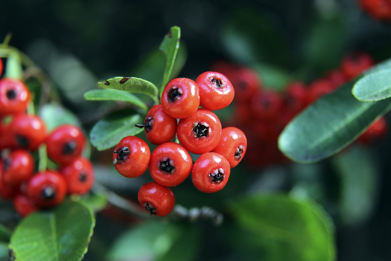 团队还引入 团队还引入