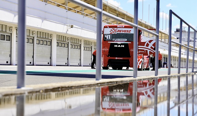 随之引发了 随之引发了