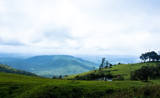 进攻方面 进攻方面