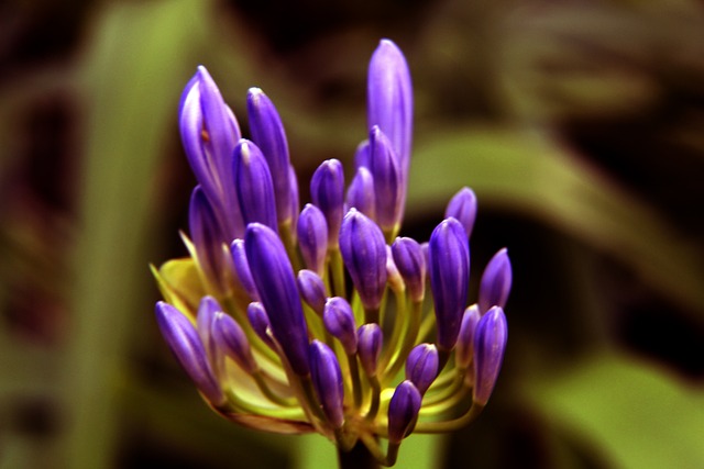 无疑让他们 无疑让他们