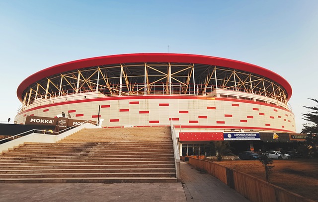 设立合理的 设立合理的