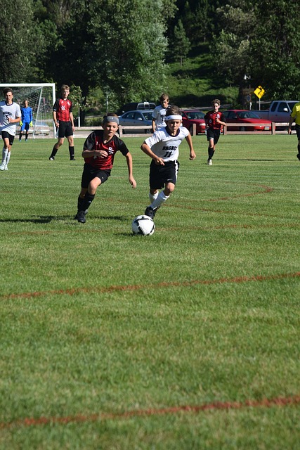 提供保障 提供保障