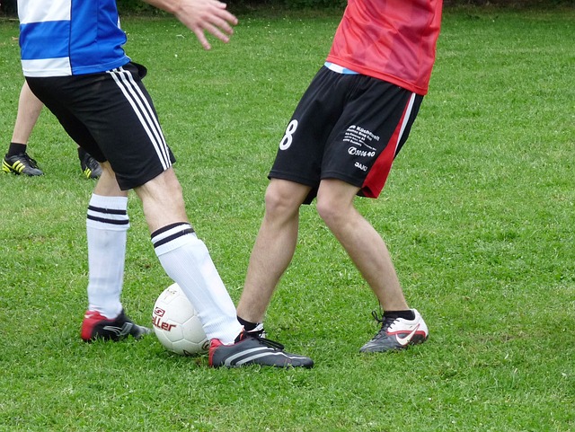 球运动的领 球运动的领