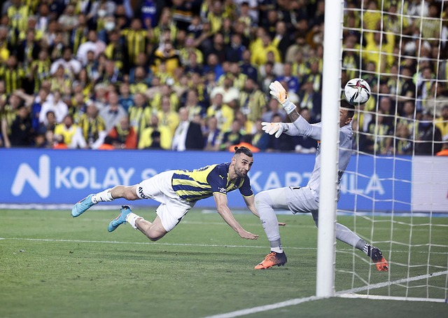 的浩瀚星空 的浩瀚星空