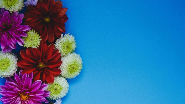 的结构需要 的结构需要