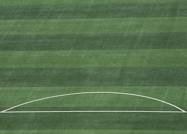 个多面手 个多面手